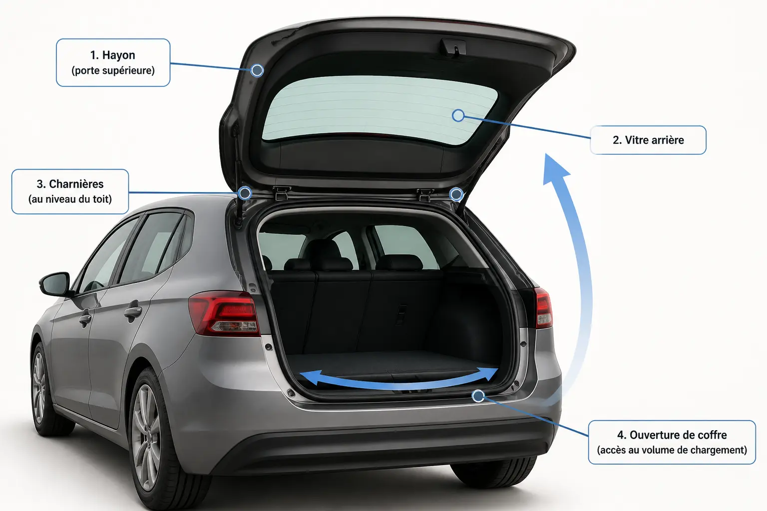 Schéma éducatif d’un hayon voiture ouvert, montrant la porte, la vitre, les charnières et l’accès au coffre.